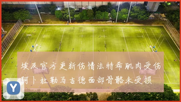 埃及官方更新伤情法特希肌肉受伤阿卜杜勒马吉德面部骨骼未受损