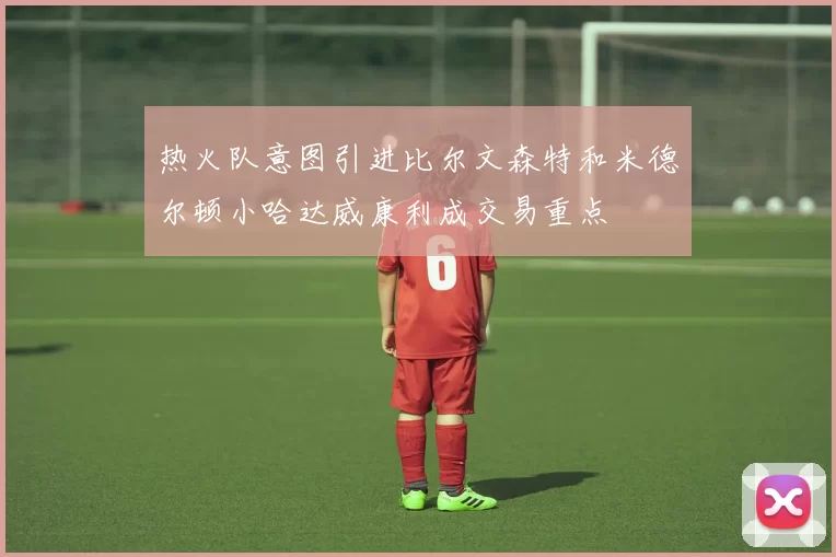 热火队意图引进比尔文森特和米德尔顿小哈达威康利成交易重点