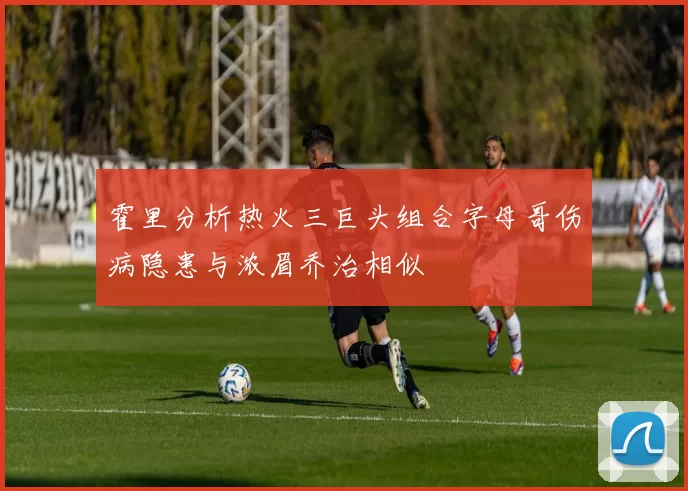 霍里分析热火三巨头组合字母哥伤病隐患与浓眉乔治相似